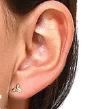 Arete Oro Cola De Ballena