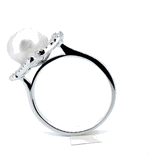 Anillo Italia