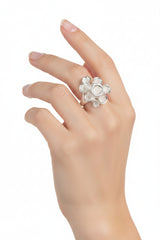 Anillo Arrecife