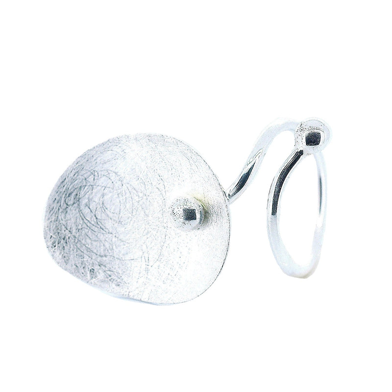 Anillo De Plata