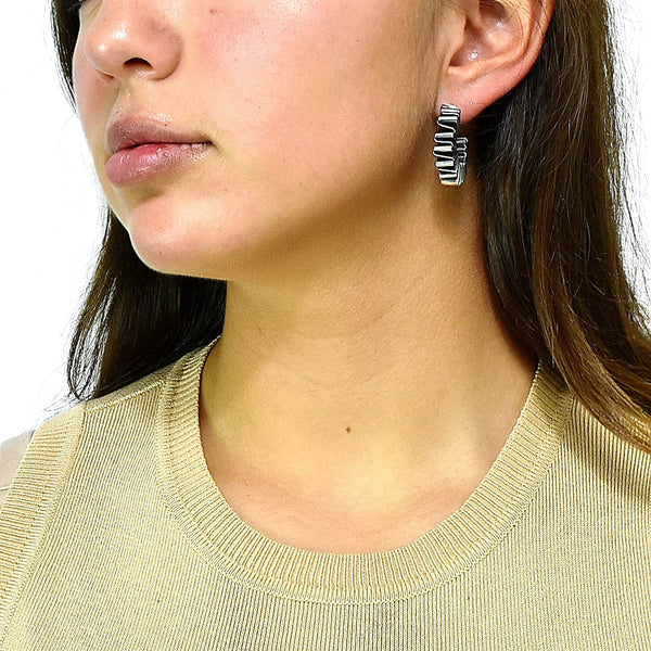 Arete de Plata