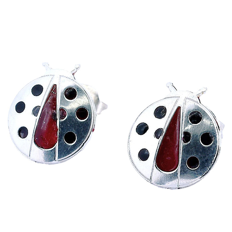 Aretes De Catarina De Plata