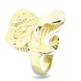 Anillo Aruba