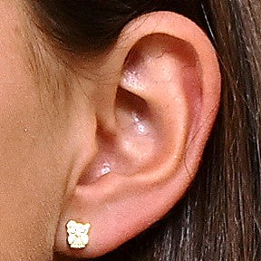 Arete Oro Búho